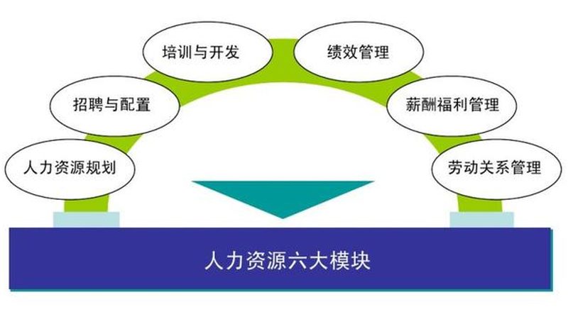 广州管理人员背景调查，如何确保合规与高效？**